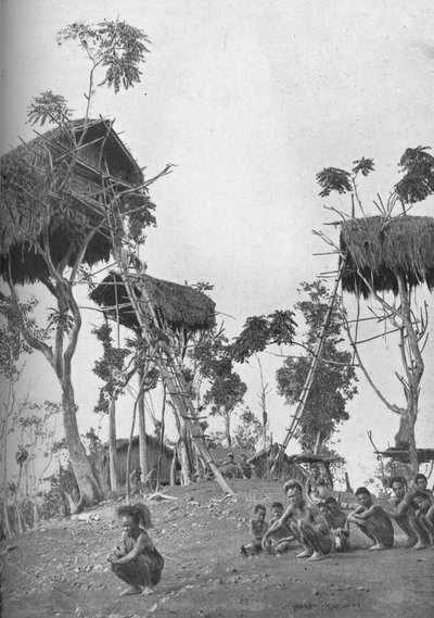 Dobos, trehus for ugifte kvinner i Melanesia, 1902 av W. Lindt