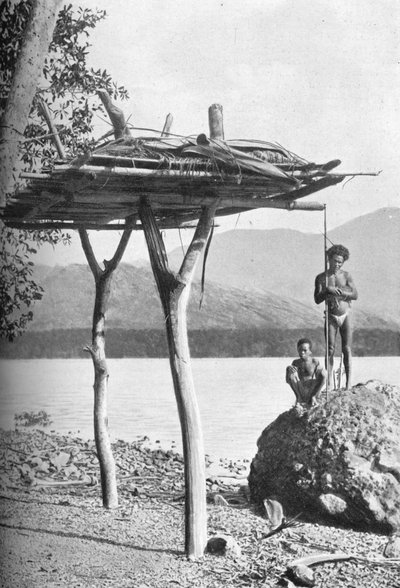 Mortuary-plattform i New Guinea, 1902 av W. Lindt