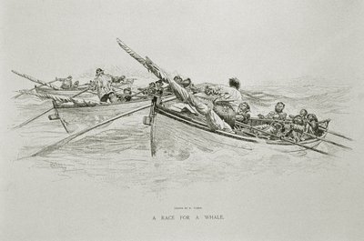 'A Race for a Whale', for 'The Perils and Romance of Whaling' i Century Magazine, juni 1890 (litho) av W. Taber