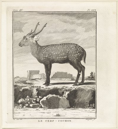 Hert Le Cerf-Cochon (tittel på objekt) av W. Tringham