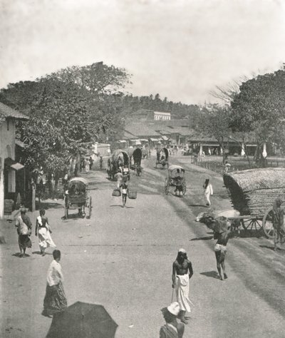 Gatebilde nær rådhuset, Colombo, Ceylon, 1895. av W and S Ltd