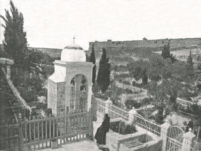 Getsemane-hagen, Jerusalem, Palestina, 1895. av W and S Ltd