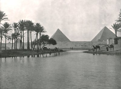 Pyramidene og Nilen, Gizeh, Egypt, 1895. av W and S Ltd