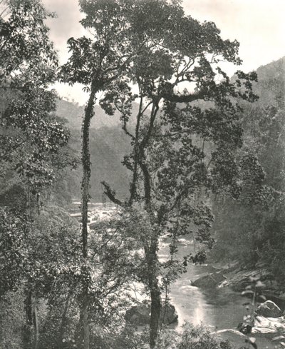 Utsikt over Kelani-elven, Kurunegala, Ceylon, 1895. av W and S Ltd