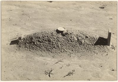  av Walker Evans