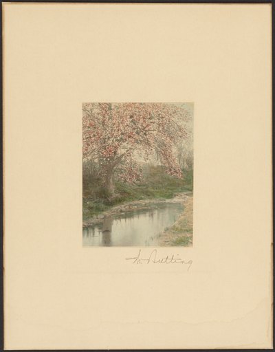  av Wallace Nutting
