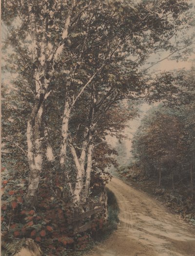 Westmore Drive av Wallace Nutting