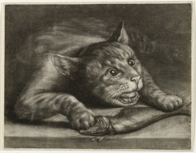 Katt med fisk av Wallerant Vaillant