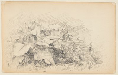 Studie av gress og planter av Walter Clark