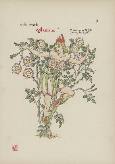Blomster fra Shakespeares Garden av Walter Crane
