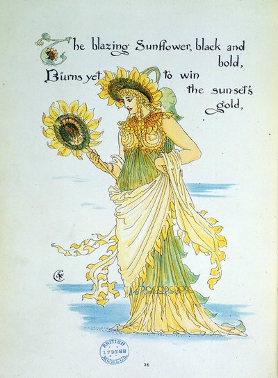 Solsikkeblomsten (solen) personifiserer i en ung kvinne kledd i gult og grønt. Plate 36 fra ""Flora