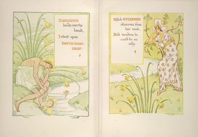 Narcissus og øyentrøst av Walter Crane