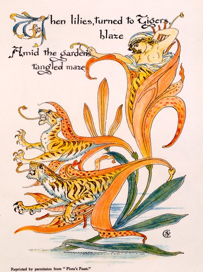 Tiger Lilies, illustrasjon fra 