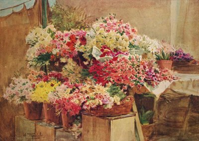 Blomsterbod i Mentone Market, c1910, 1912 av Walter Frederick Roofe Tyndale