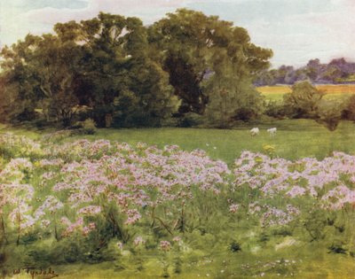 The New Forest: Riversdale, Boldre (farge litho) av Walter Frederick Roofe Tyndale