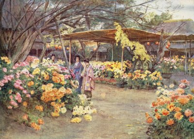 Ser på krysantemum, Mukojima, Tokio av Walter Frederick Roofe Tyndale