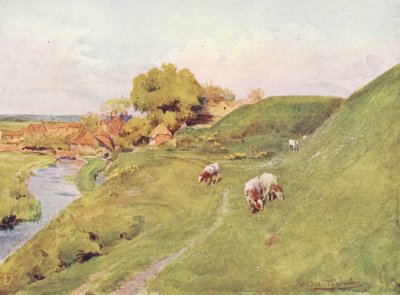  av Walter Frederick Roofe Tyndale