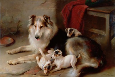En Collie med Fox Terrier-valper, 1913 av Walter Hunt