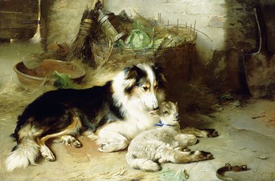 Morløs - Hyrdens kjæledyr av Walter Hunt