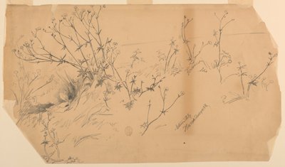Naturstudie av Walter Shirlaw