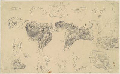 Studier av okser av Walter Shirlaw
