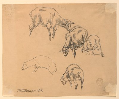 Studier av sau av Walter Shirlaw