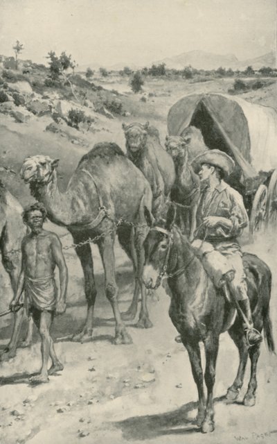 En Camel-Caravan, Vest-Australia av Walter Stanley Paget