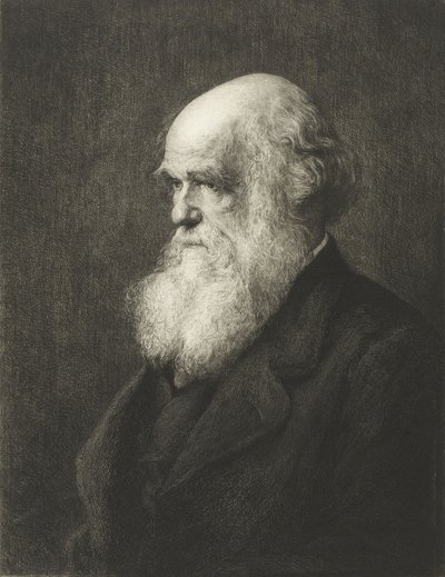 Charles Robert Darwin (gravering) av Walter William (after) Ouless