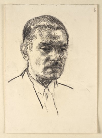  av Walther Gamerith