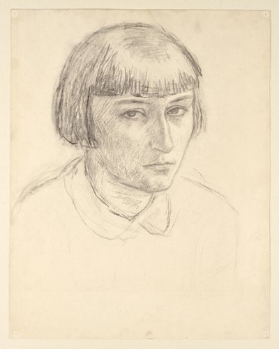  av Walther Gamerith