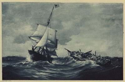 Vepsen og boltret seg (litho) av Warren Sheppard