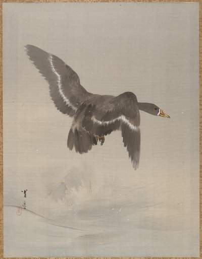Flying Goose, ca. 1887. av Watanabe Seitei