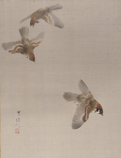 Sparrows Flying, ca. 1887. av Watanabe Seitei