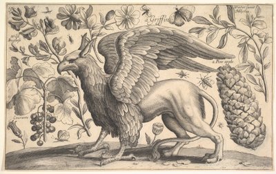 A Griffin, 1625-77. av Wenceslaus Hollar