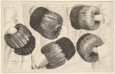 En muff i fem visninger, 1645-46. av Wenceslaus Hollar