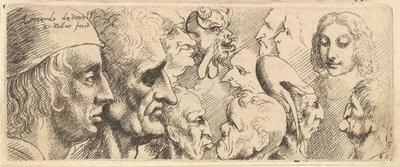 En rekke hoder, 1625-77. av Wenceslaus Hollar