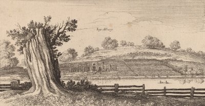 Albury, 1645. av Wenceslaus Hollar