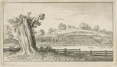 Albury med trestubbe i forgrunnen av Wenceslaus Hollar