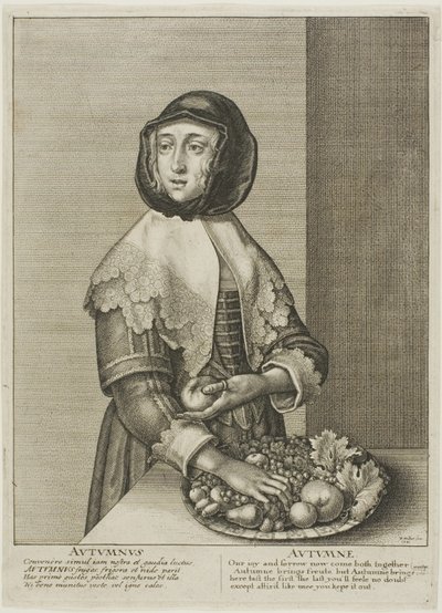 Høst av Wenceslaus Hollar