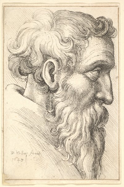 Skjegget gammel mann i profil til høyre, 1645. av Wenceslaus Hollar