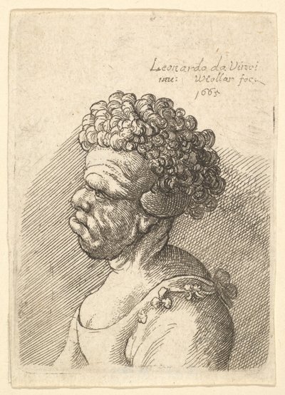 Byste av en deformert kvinne med krøllete hår i profil til venstre, 1665. av Wenceslaus Hollar