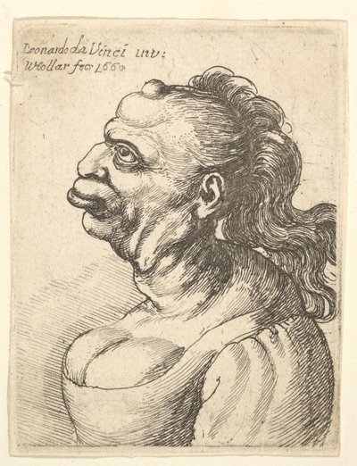 Byste av en kvinne iført lavt snittkjole, med utstående leppe, vekst i pannen, promi..., 1660. av Wenceslaus Hollar