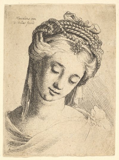 Byste av en ung kvinne med forseggjort hodeplagg, ser ned., 1625-77. av Wenceslaus Hollar