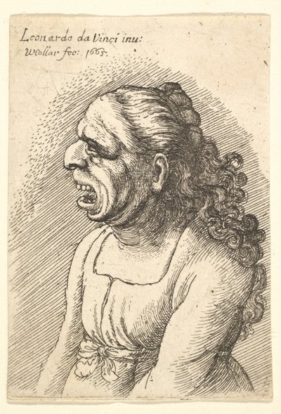 Byste av kvinne med vidåpen munn og langt krøllete hår som faller over skuldrene hennes, iført..., 1665. av Wenceslaus Hollar