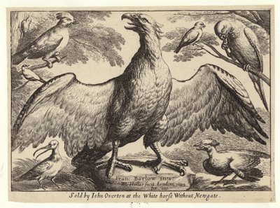 Ørn og andre fugler av Wenceslaus Hollar