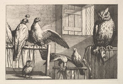 Høker og ugler, 1625-77. av Wenceslaus Hollar