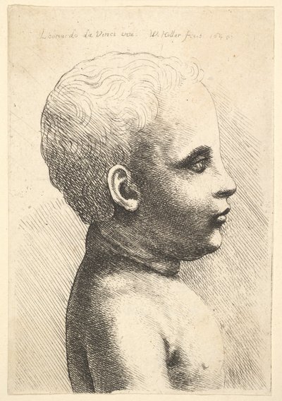 Hode og skulder til et barn, i profil til høyre, 1645. av Wenceslaus Hollar