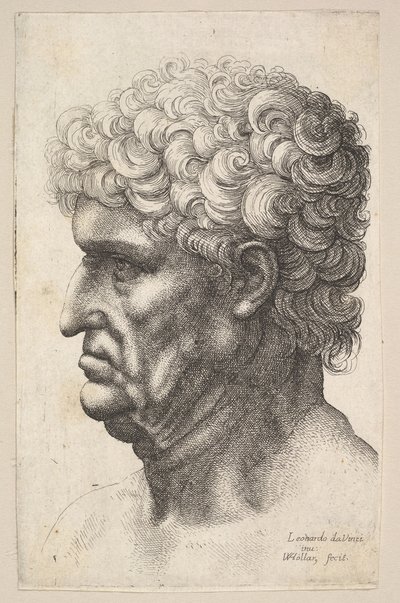 Hodet til en mann med tykt krøllete hår i profil til venstre, 1640-49. av Wenceslaus Hollar