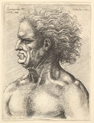 Hodet til en muskuløs gammel mann i profil til venstre med flytende hår, 1625-77. av Wenceslaus Hollar