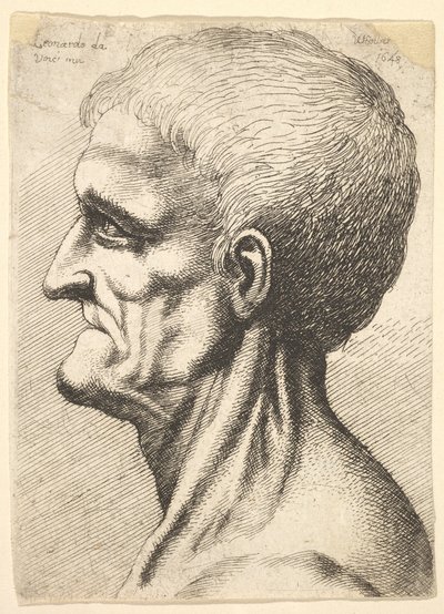 Hodet til en tannløs mann med bar, senet hals i profil til venstre, 1648. av Wenceslaus Hollar